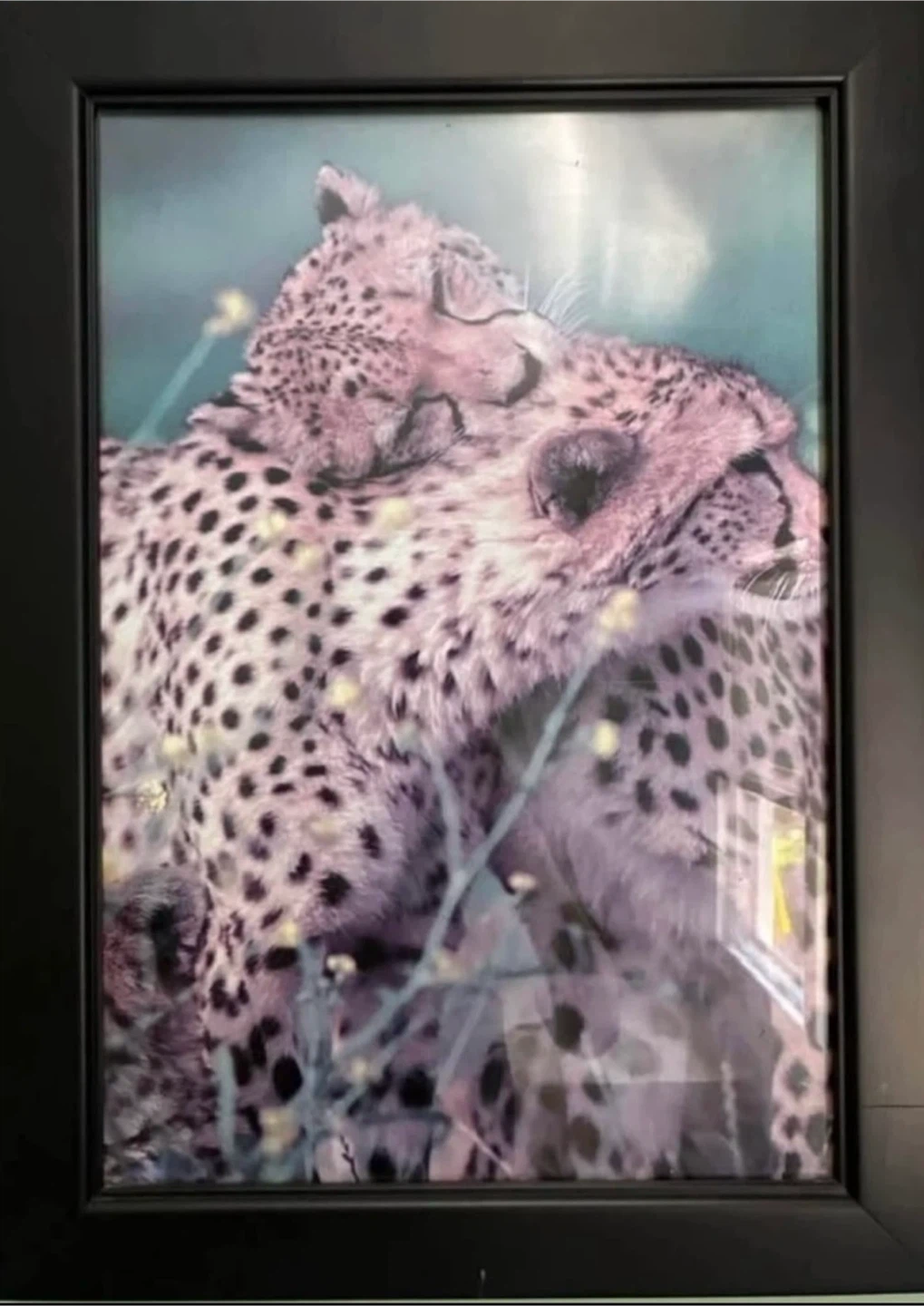 Set of 4 Framed Wildlife Prints