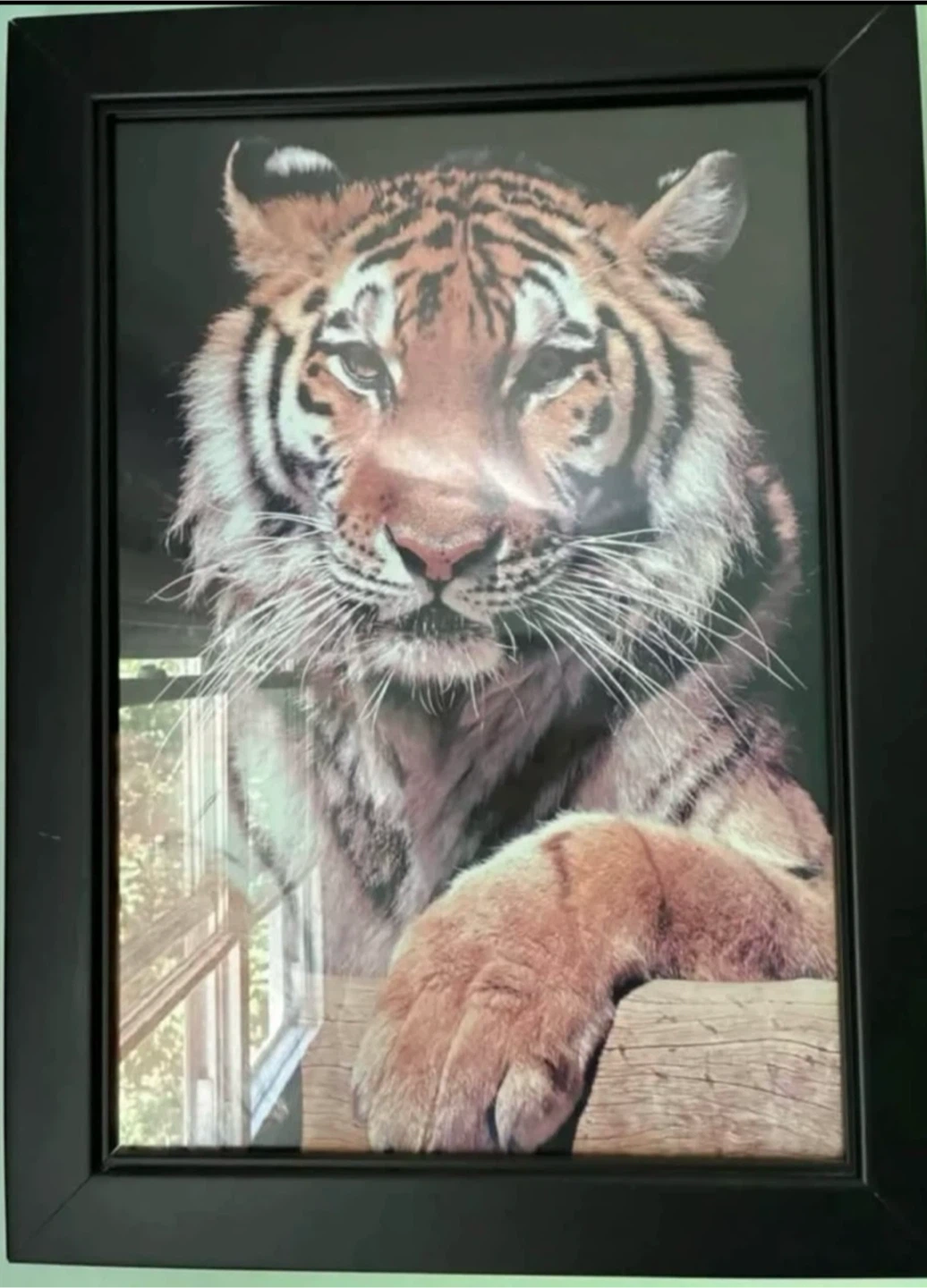 Set of 4 Framed Wildlife Prints - photo 4