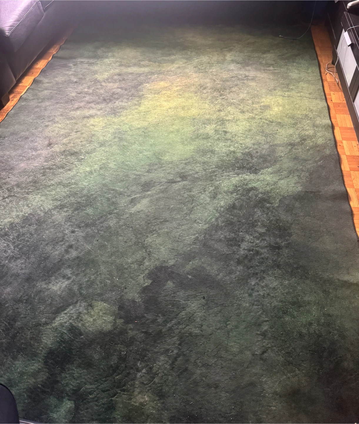 Large Green Abstract Pattern Area Rug