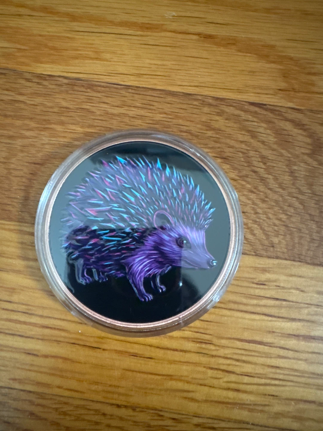 5 oz .999 Fine Copper Hedgehog Art Round 🏈