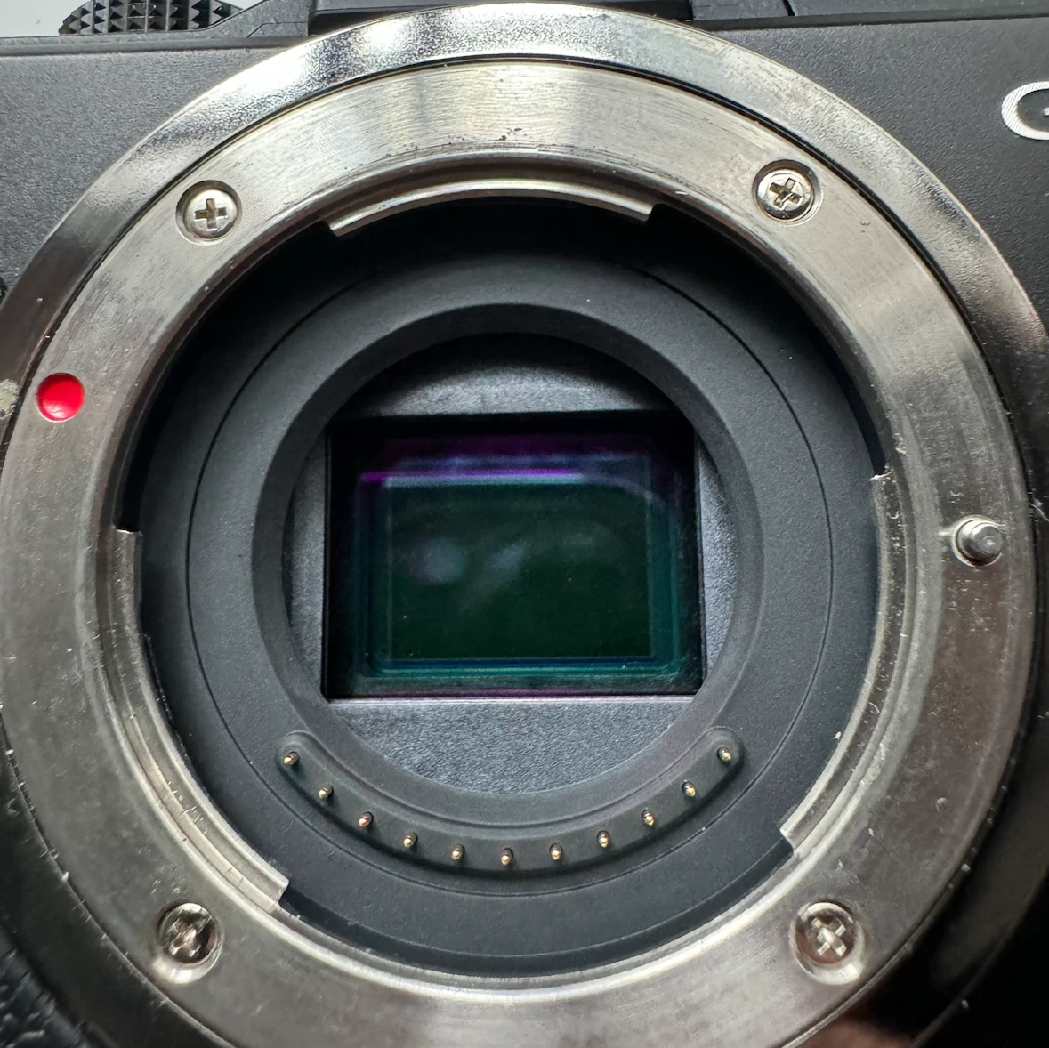Panasonic Lumix GX1 Mirrorless Camera + 20mm F1.7 Mark II - photo 4