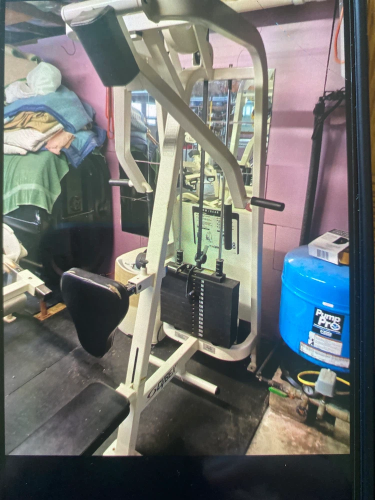 Cybex Row Rear Delt Machine