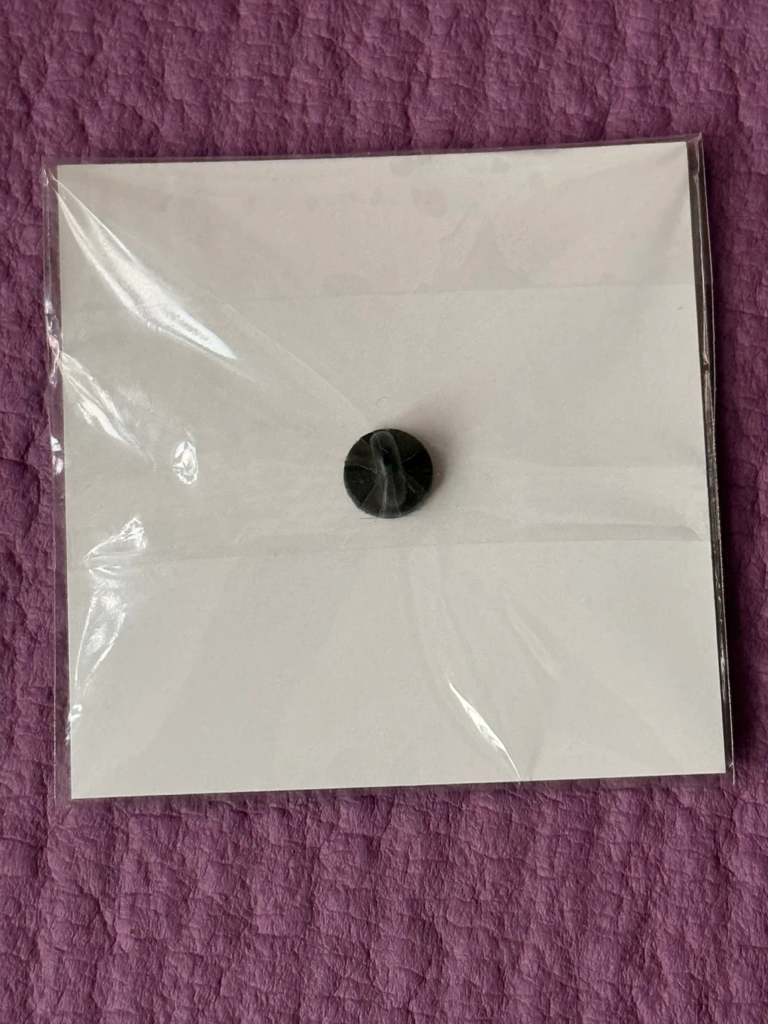 NEW✨🏈American Museum of Natural History Gem Pin - photo 2
