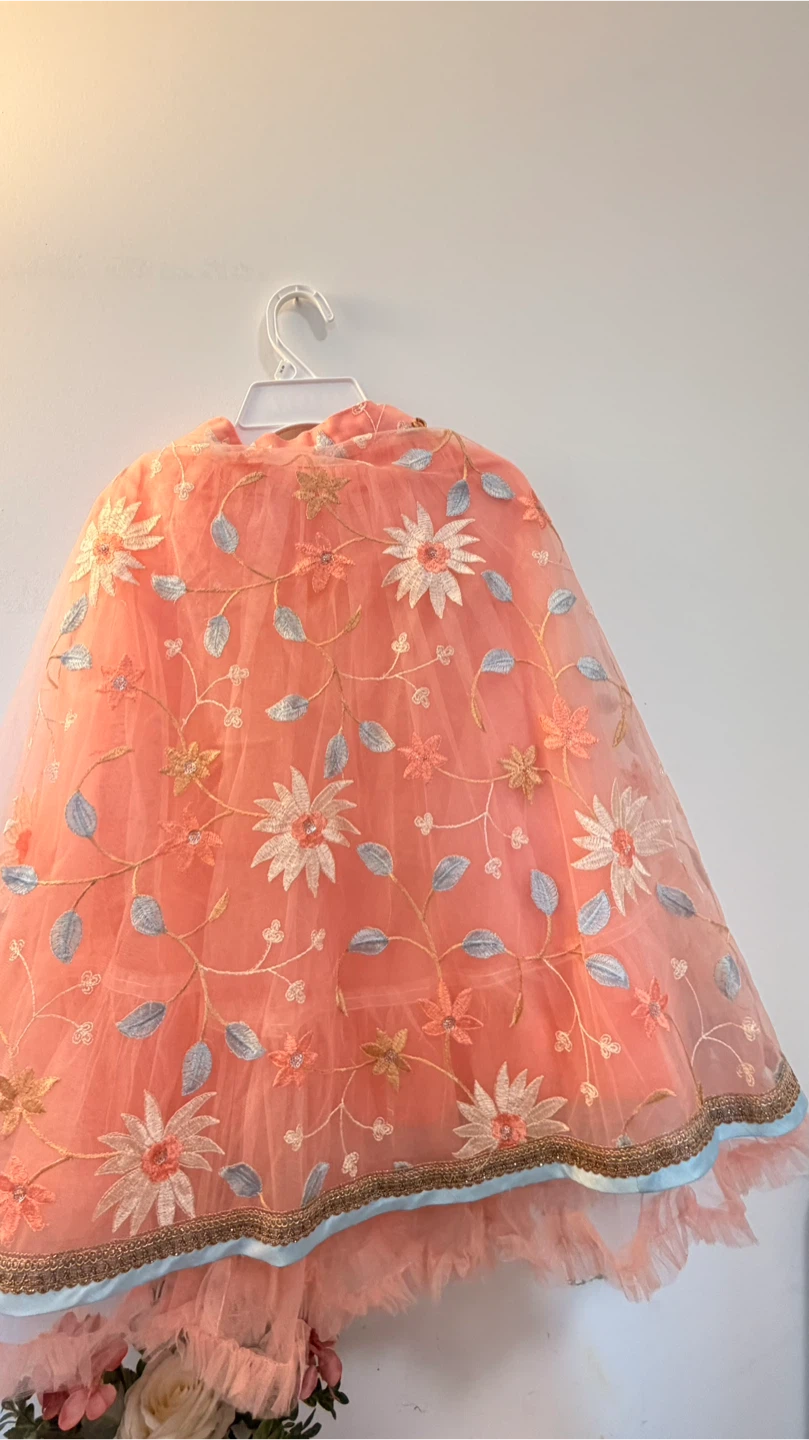 Peach Tulle Skirt with Floral Embroidery