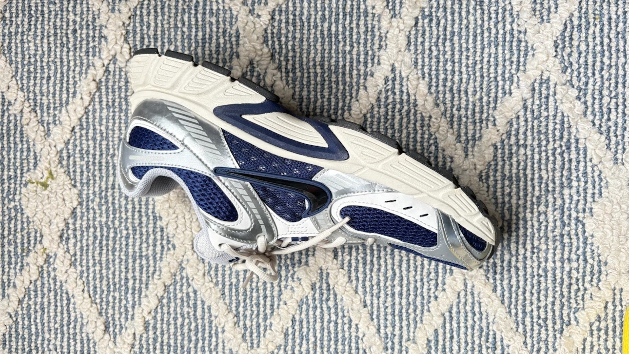 Nike Sneakers Navy and Silver