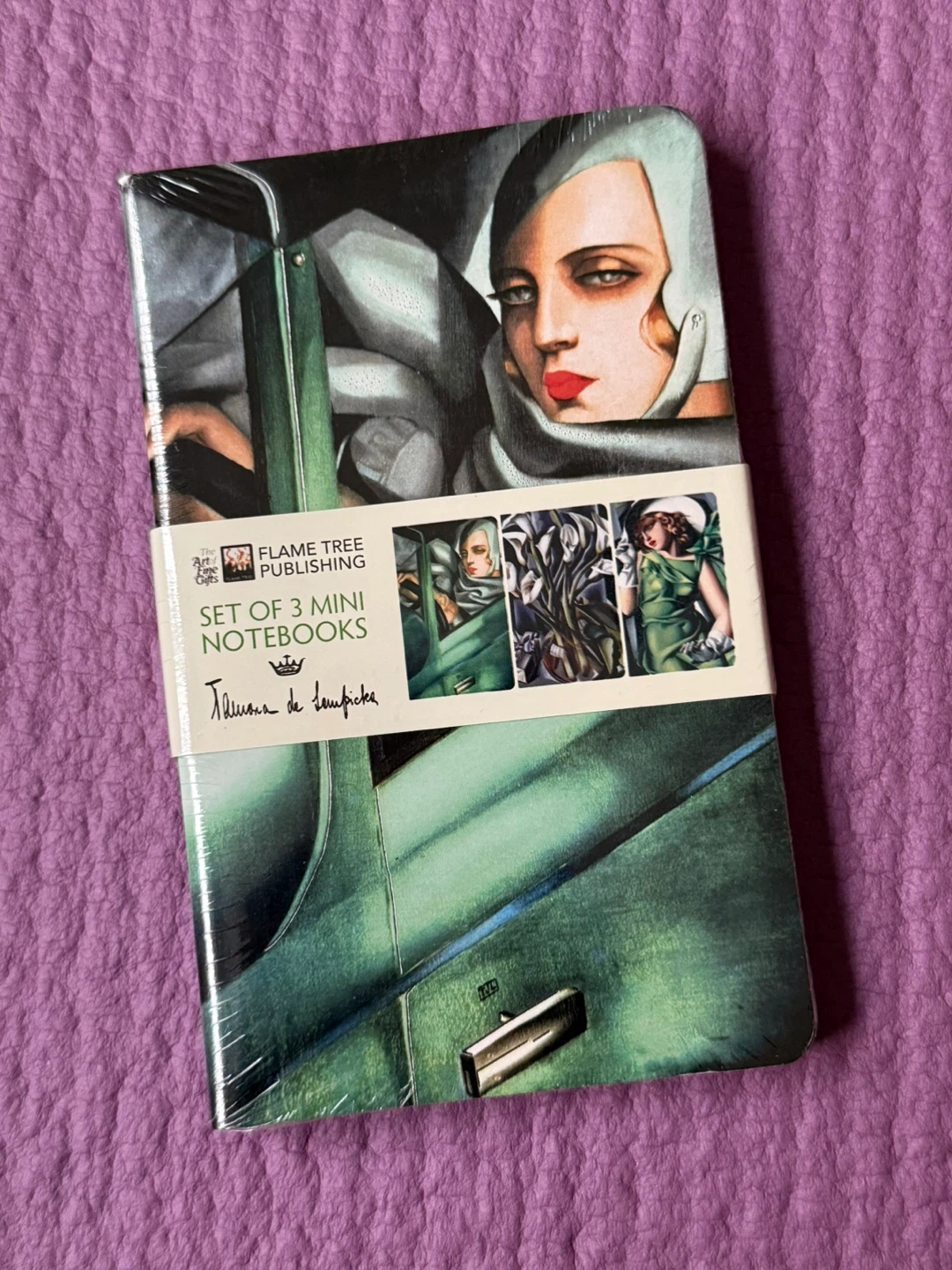 NEW✨🏈Tamara de Lempicka Mini Notebooks
