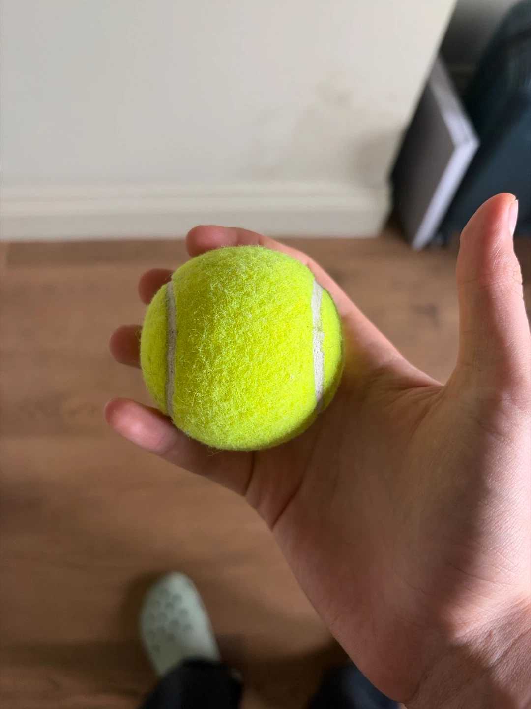 Penn Pro Penn Tennis Ball (Good condition) - photo 2