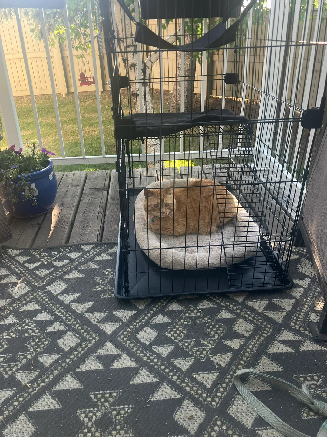 Black wire pet cage with platform (Catio)