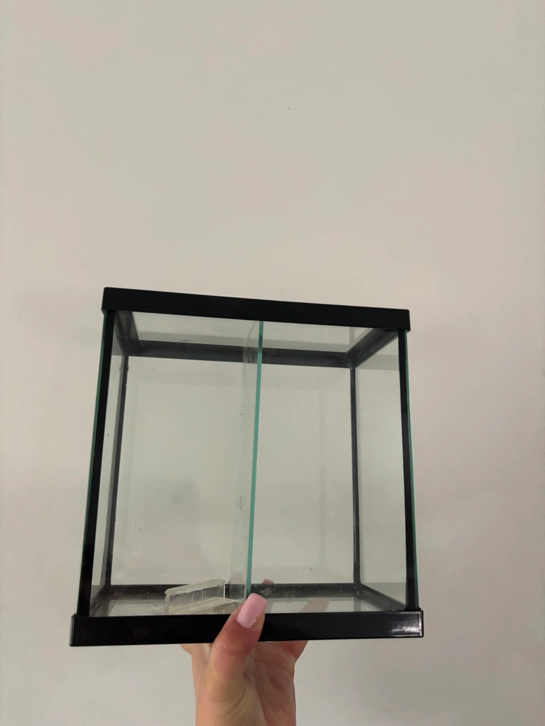 Glass Tank with Divider