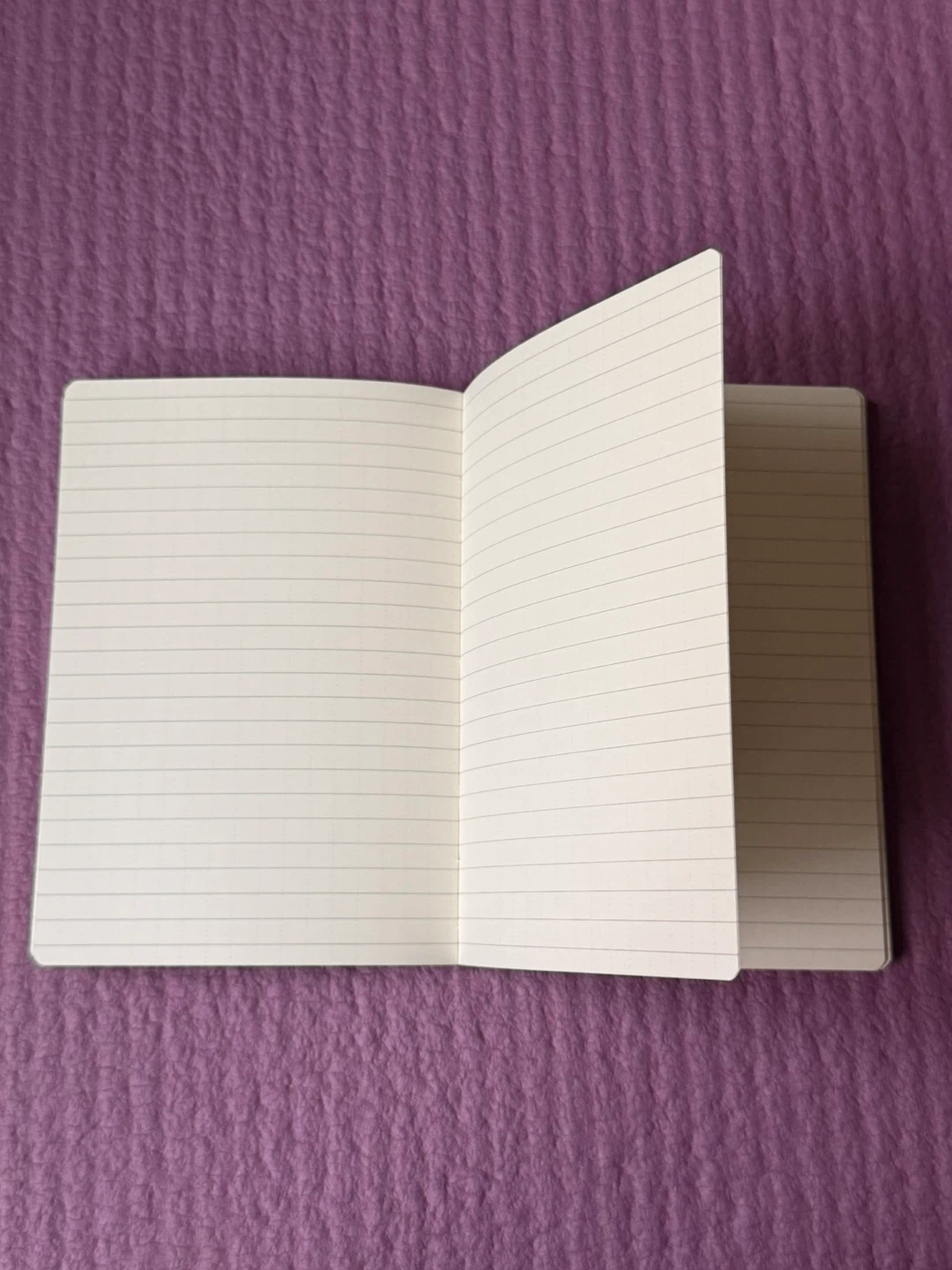 NEW✨🏈Muji 59th St Notebook - photo 3