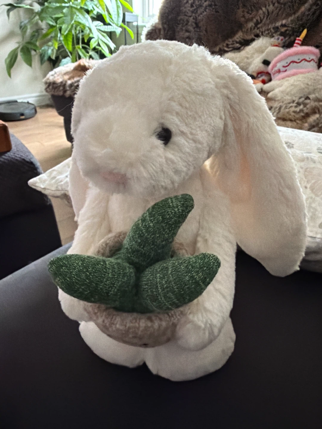 🏈 Jellycat Bashful Cream Bunny with Plant