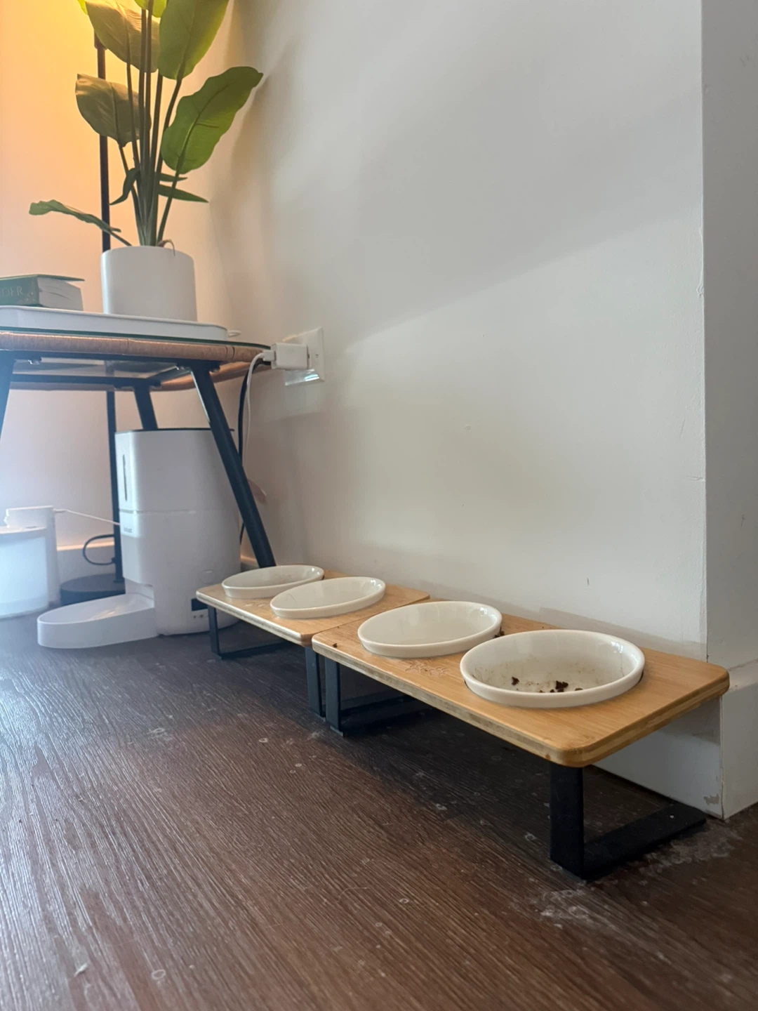 Cat Feeding Set & Decor - photo 2