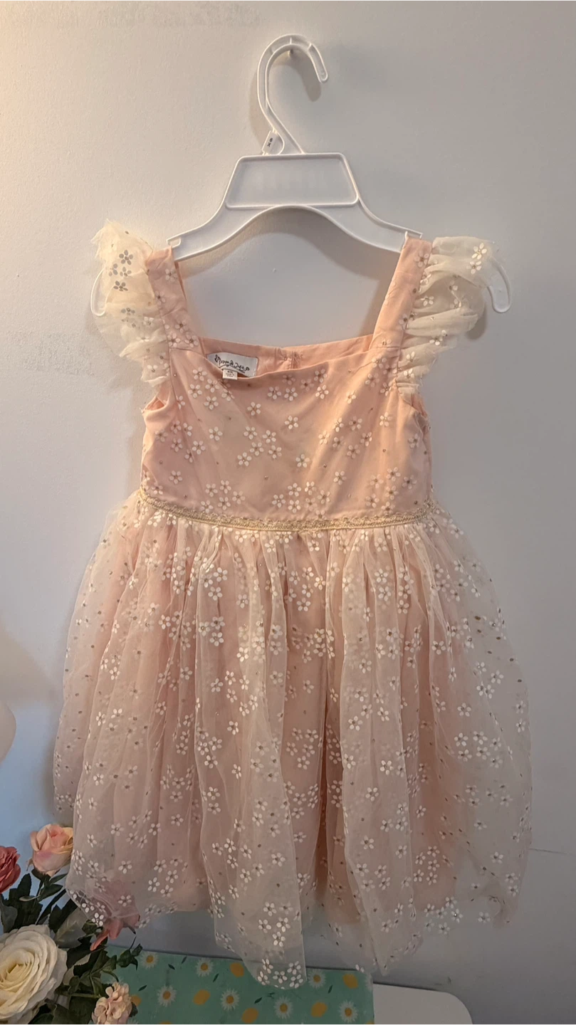 Pink Floral Dress Size 4/5