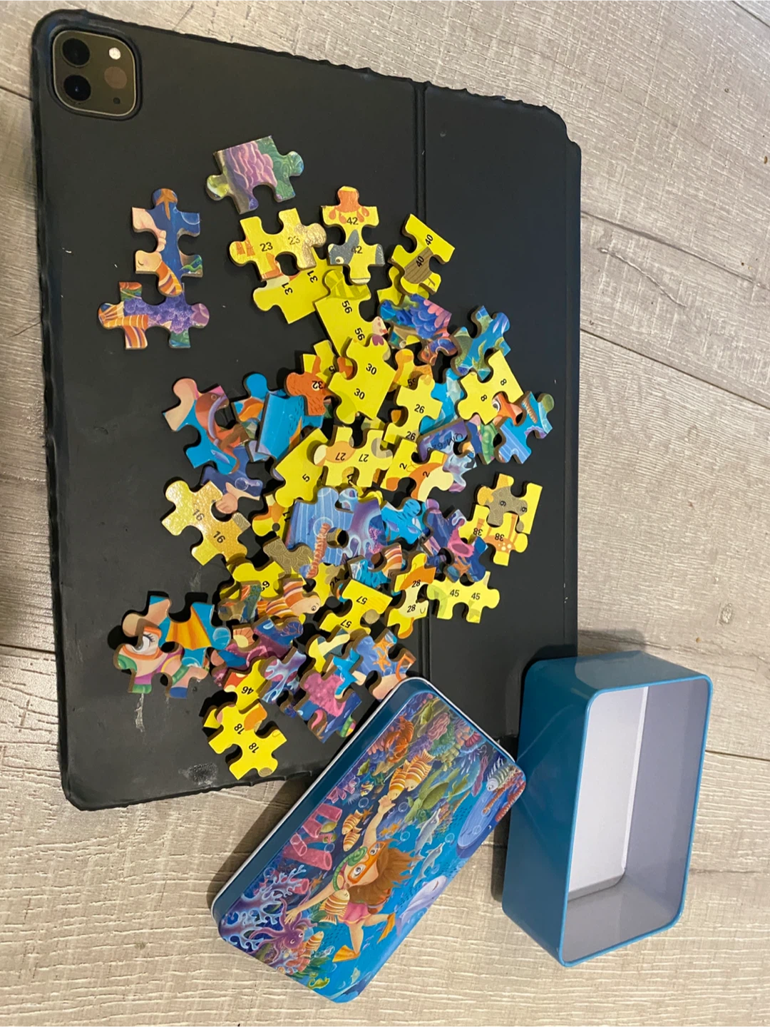 Underwater Scene Jigsaw Puzzle in Tin