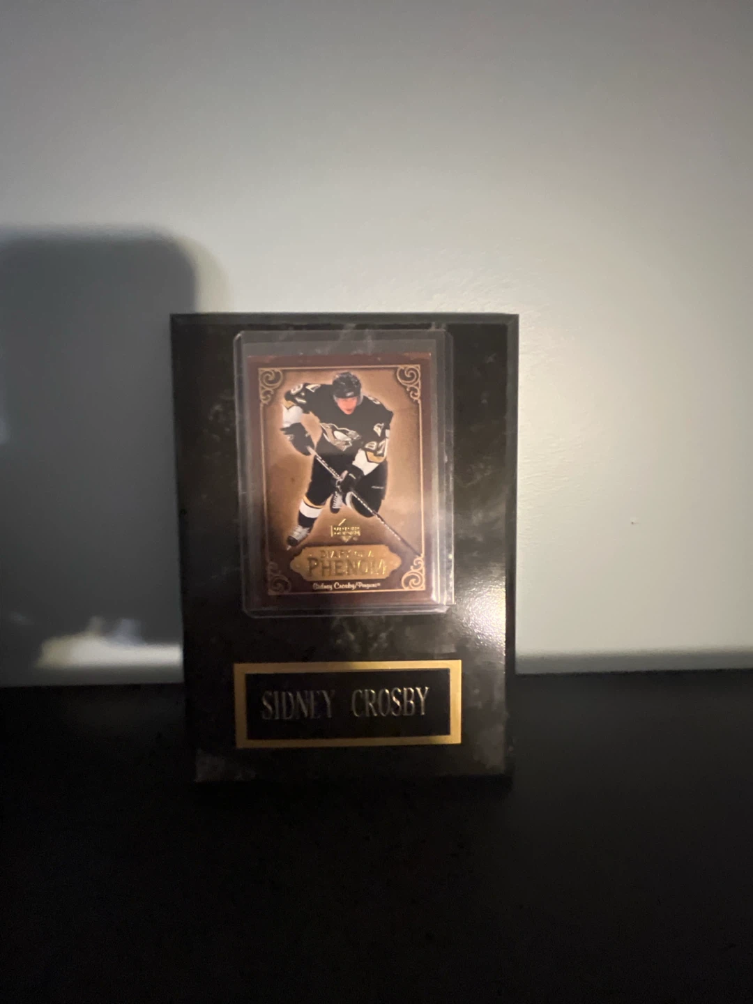 Sidney Crosby Diary of a Phenom Trading Card Display