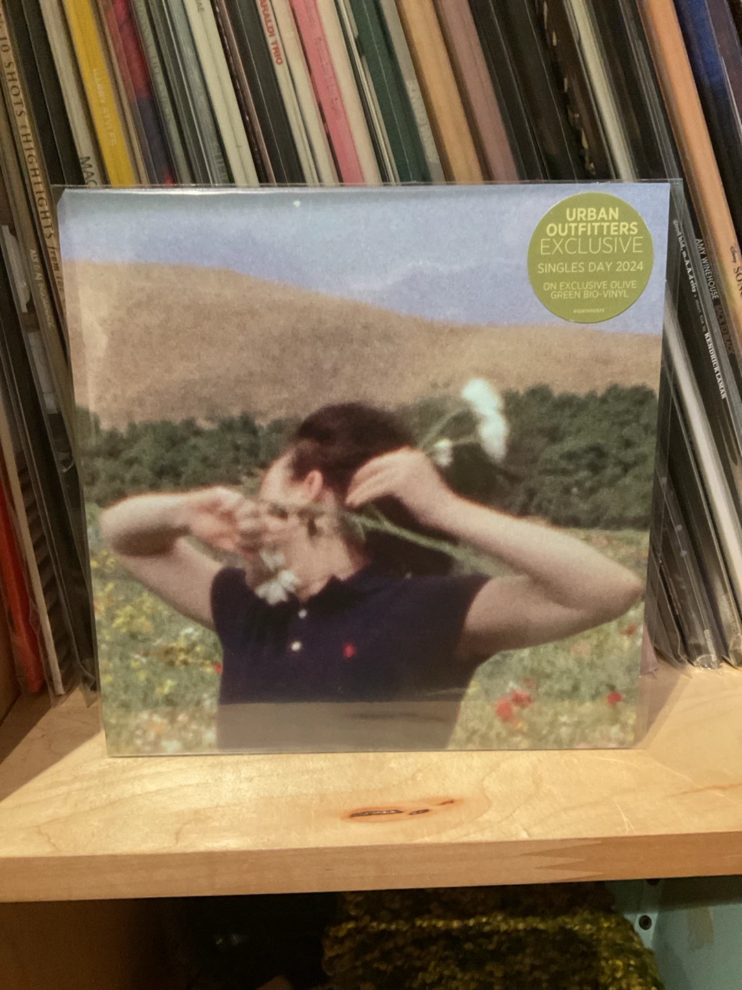 Birds of a feather vinyl 🏈