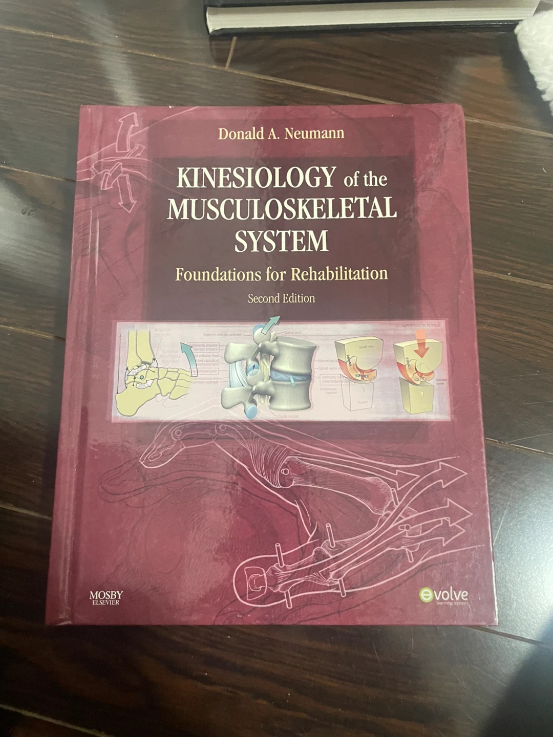 🏈Kinesiology of the Musculoskeletal System 2nd Edition