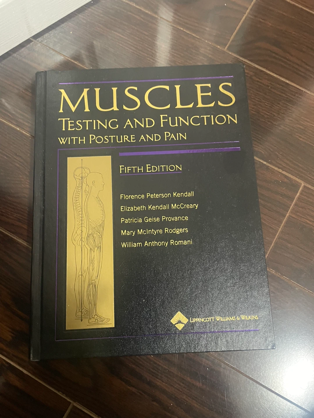 🏈Muscles: Testing and Function with Posture