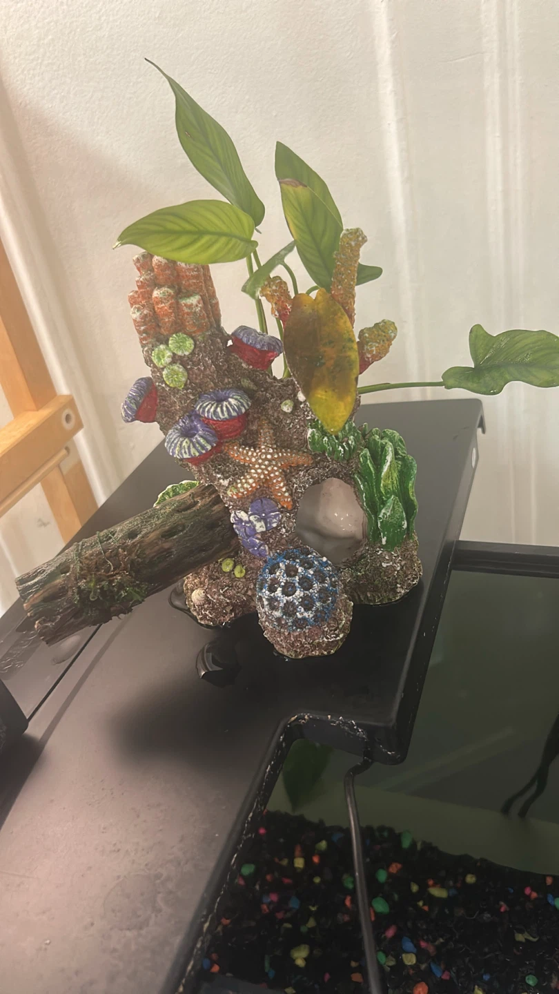 Fish tank