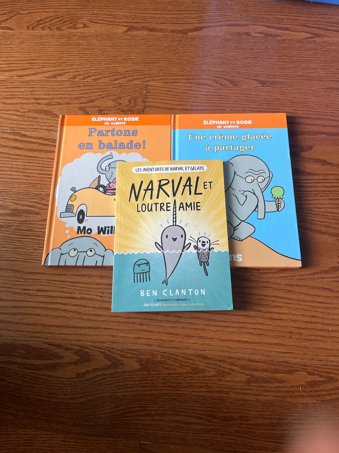 Set of 3 Children's French Picture Books