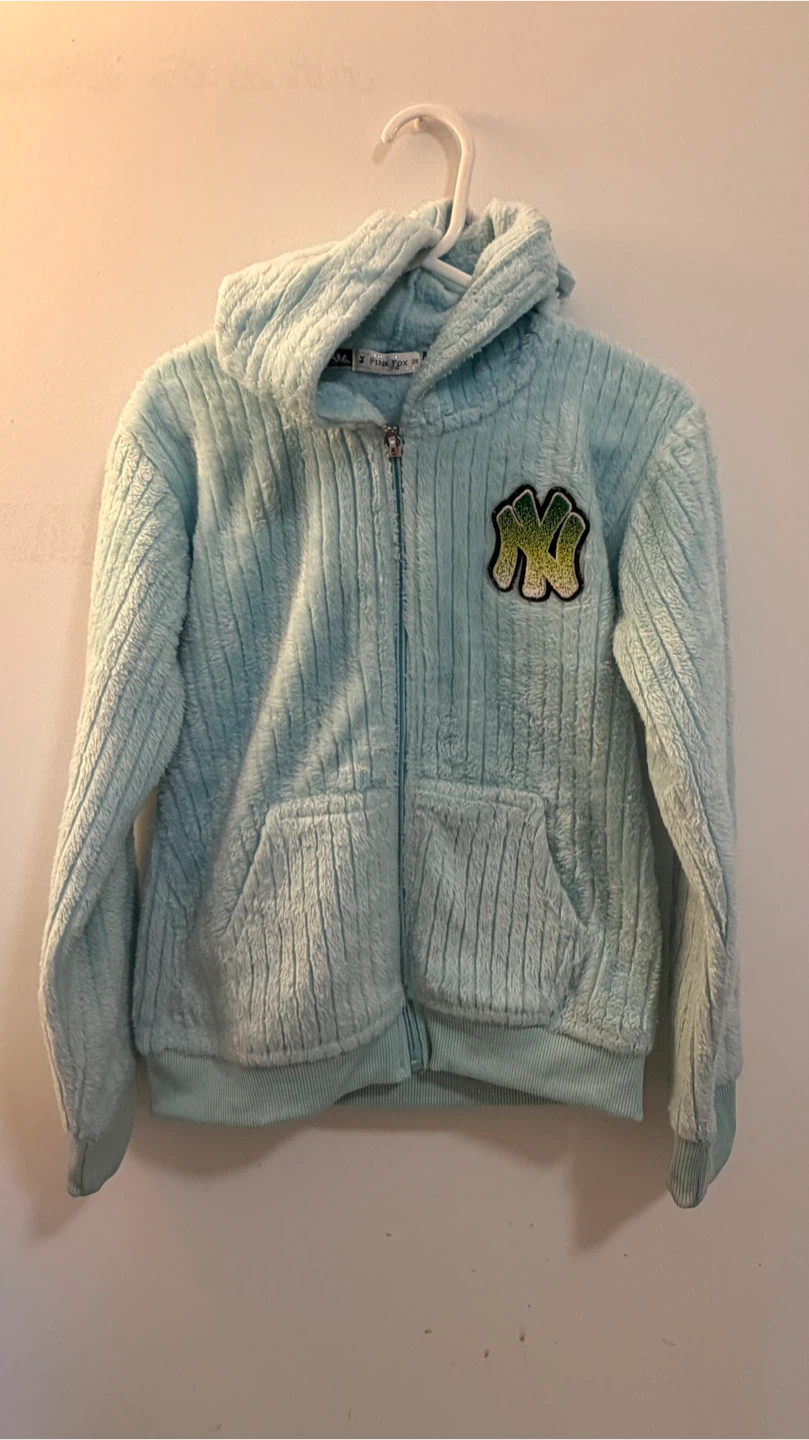 Pink Fox Blue Plush Hoodie and Pants Set