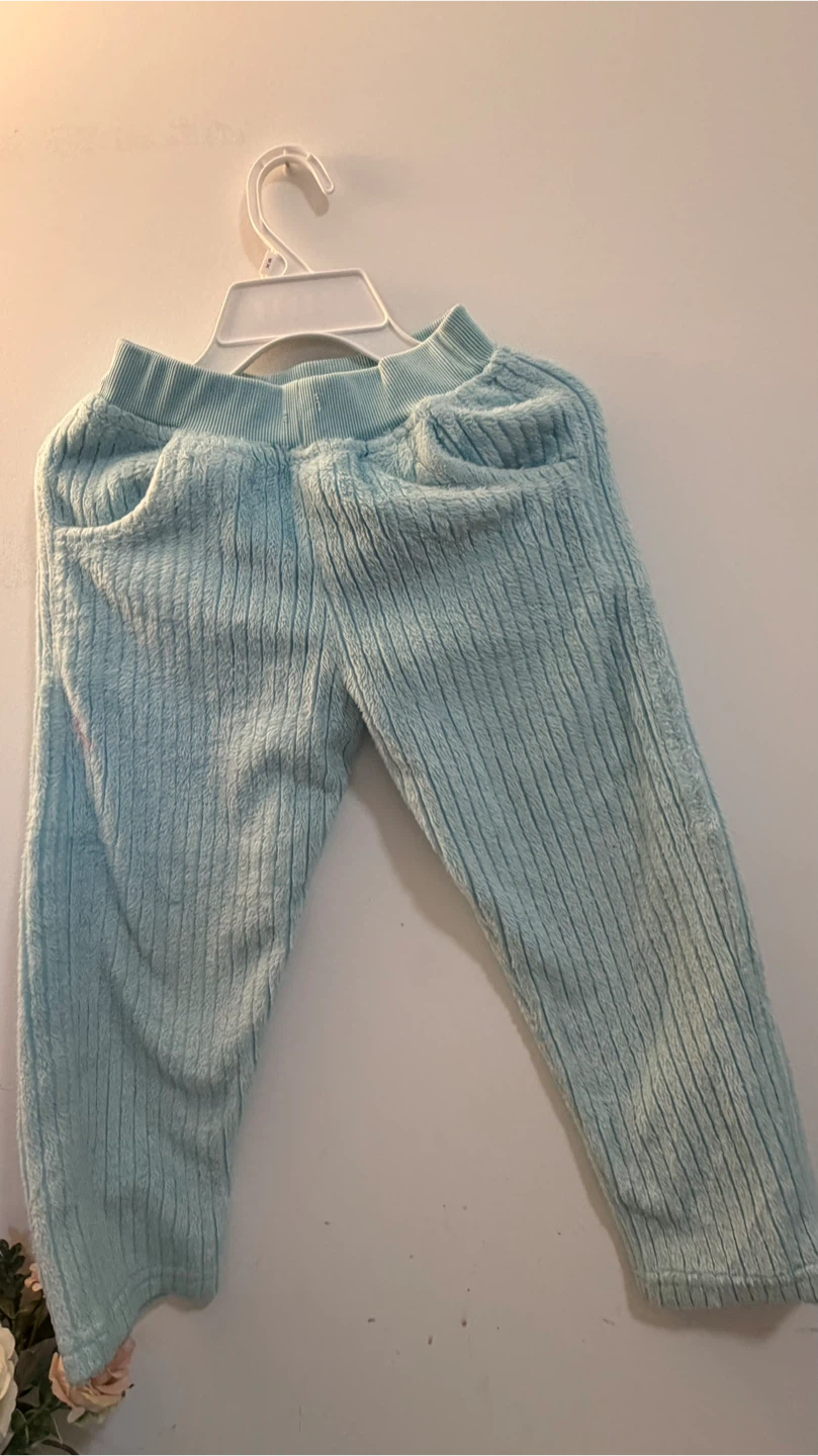 Pink Fox Blue Plush Hoodie and Pants Set - photo 2