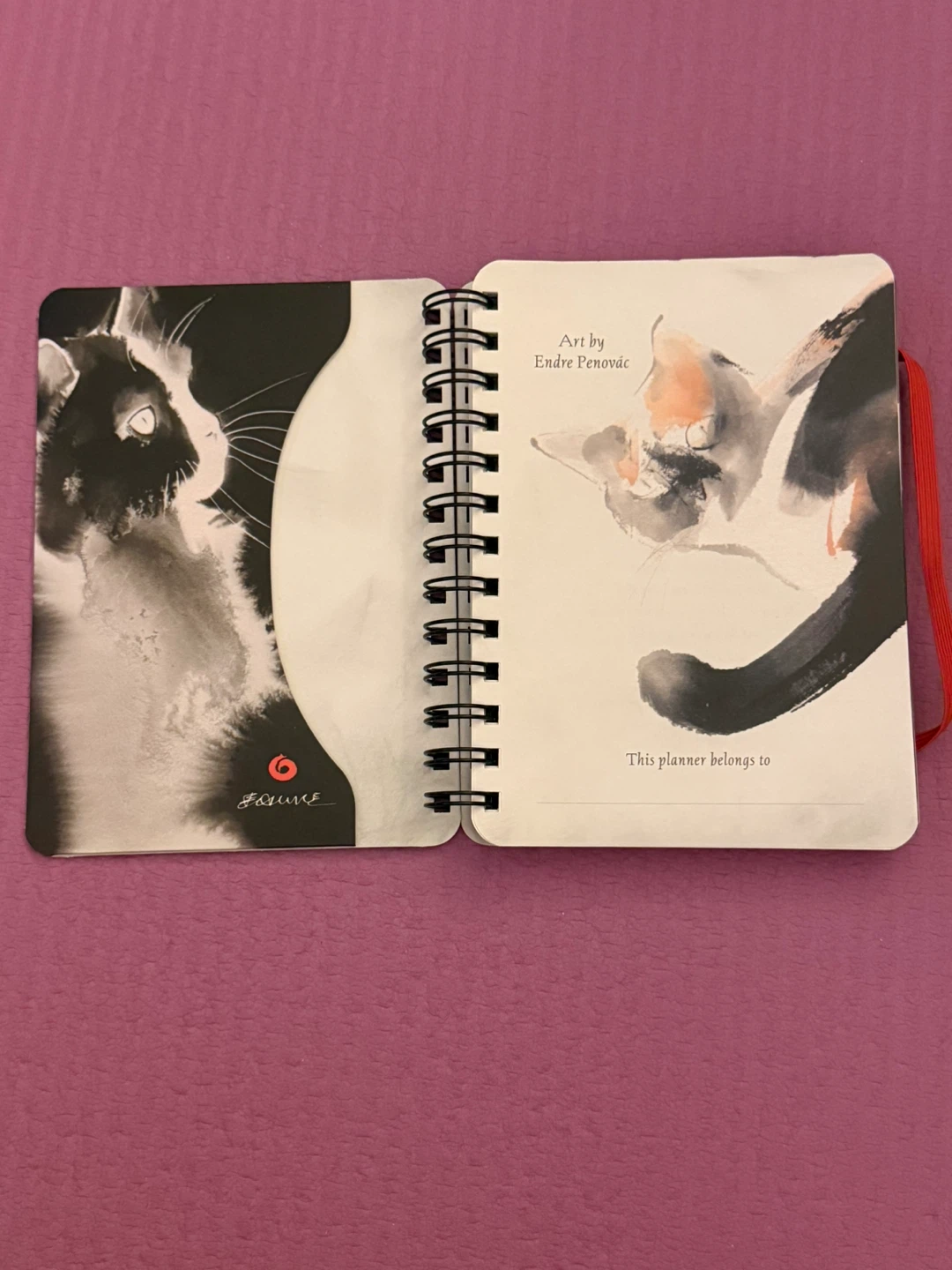 NEW✨🏈The Artful Cat Weekly Planner 2027 - photo 2