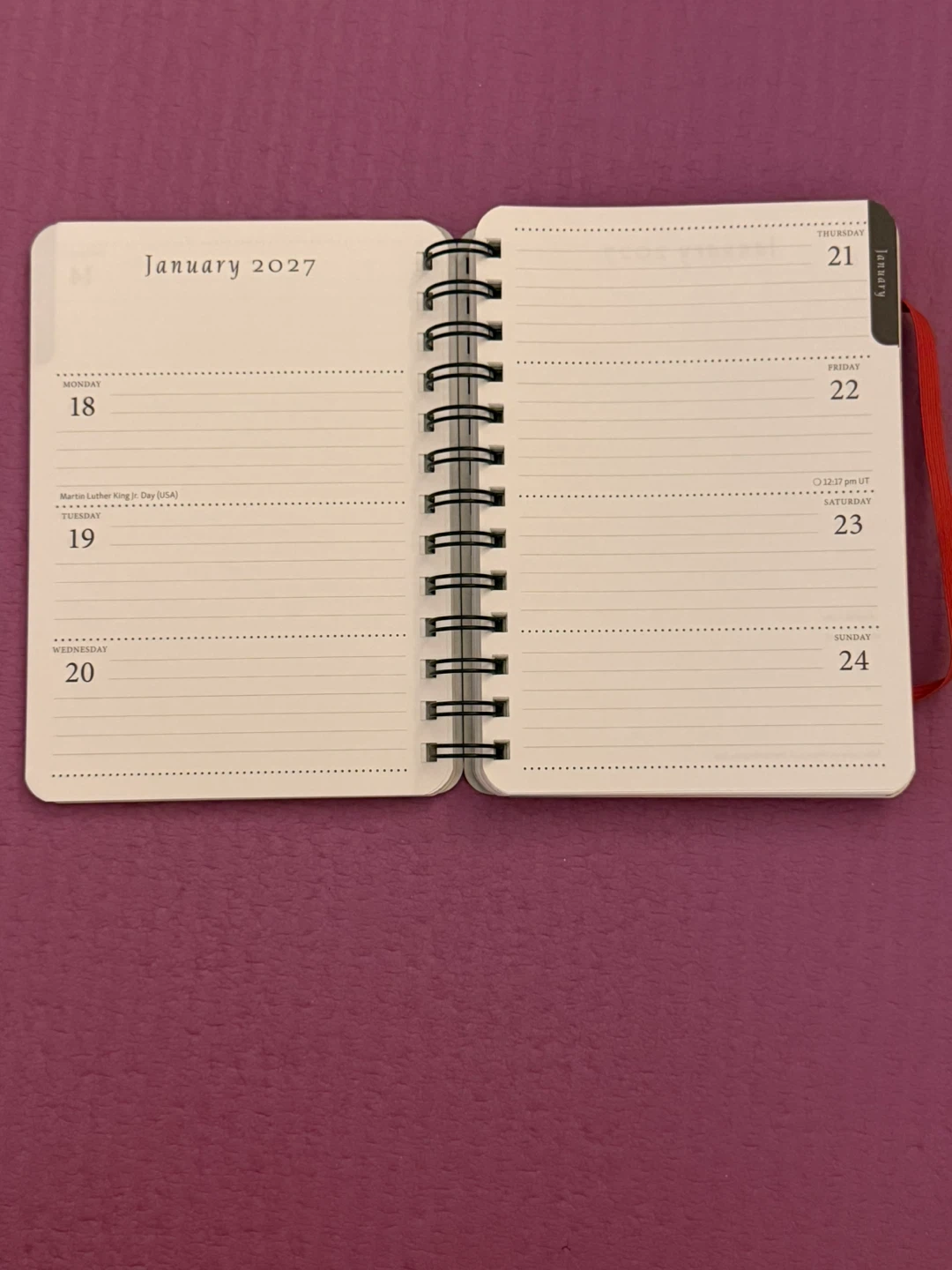 NEW✨🏈The Artful Cat Weekly Planner 2027 - photo 3
