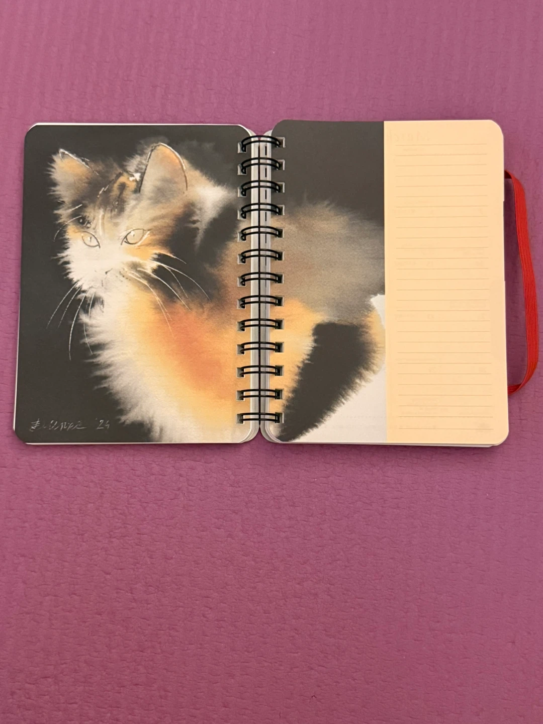 NEW✨🏈The Artful Cat Weekly Planner 2027 - photo 4