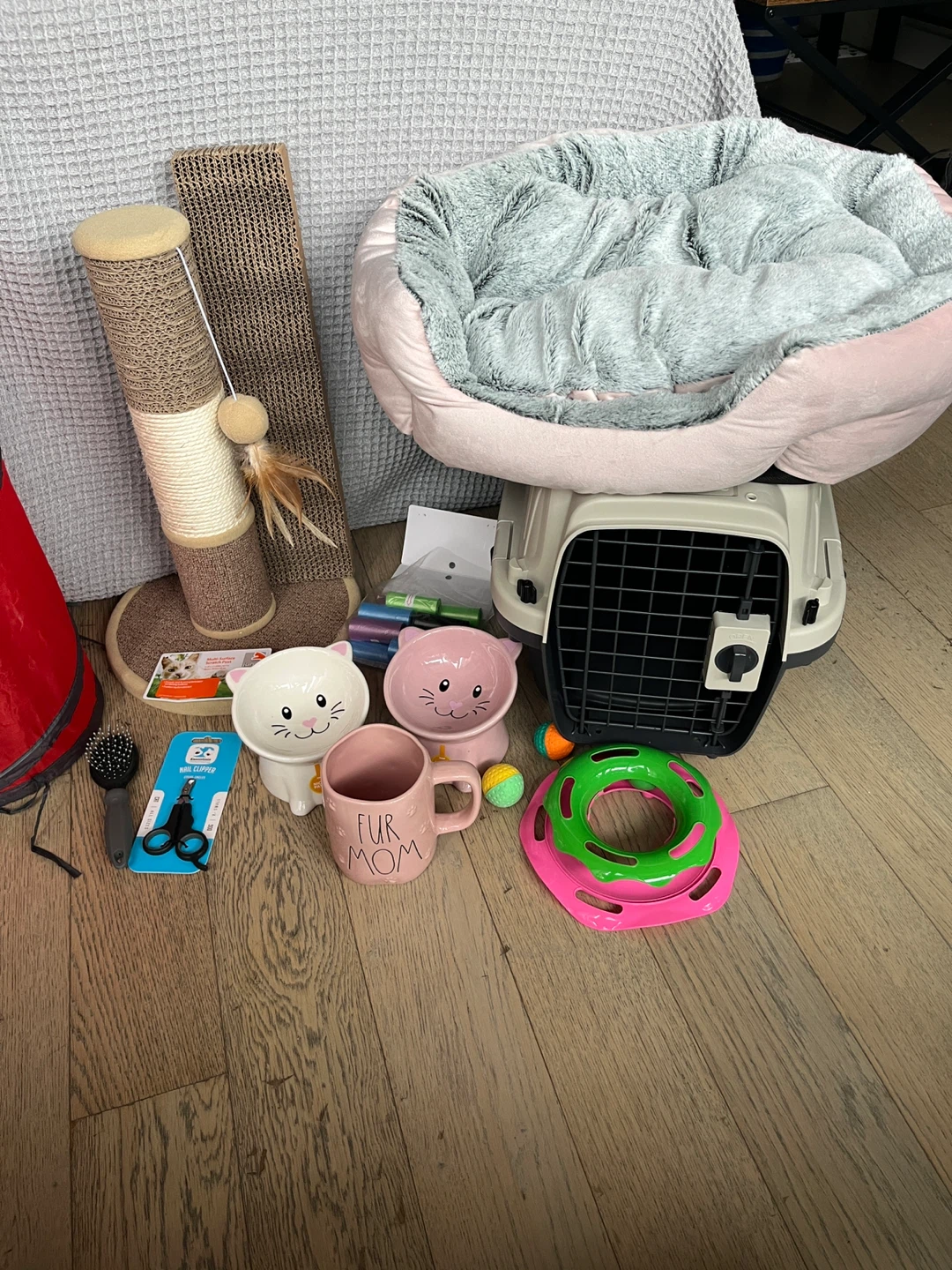 Complete Kitten Starter Kit Bundle