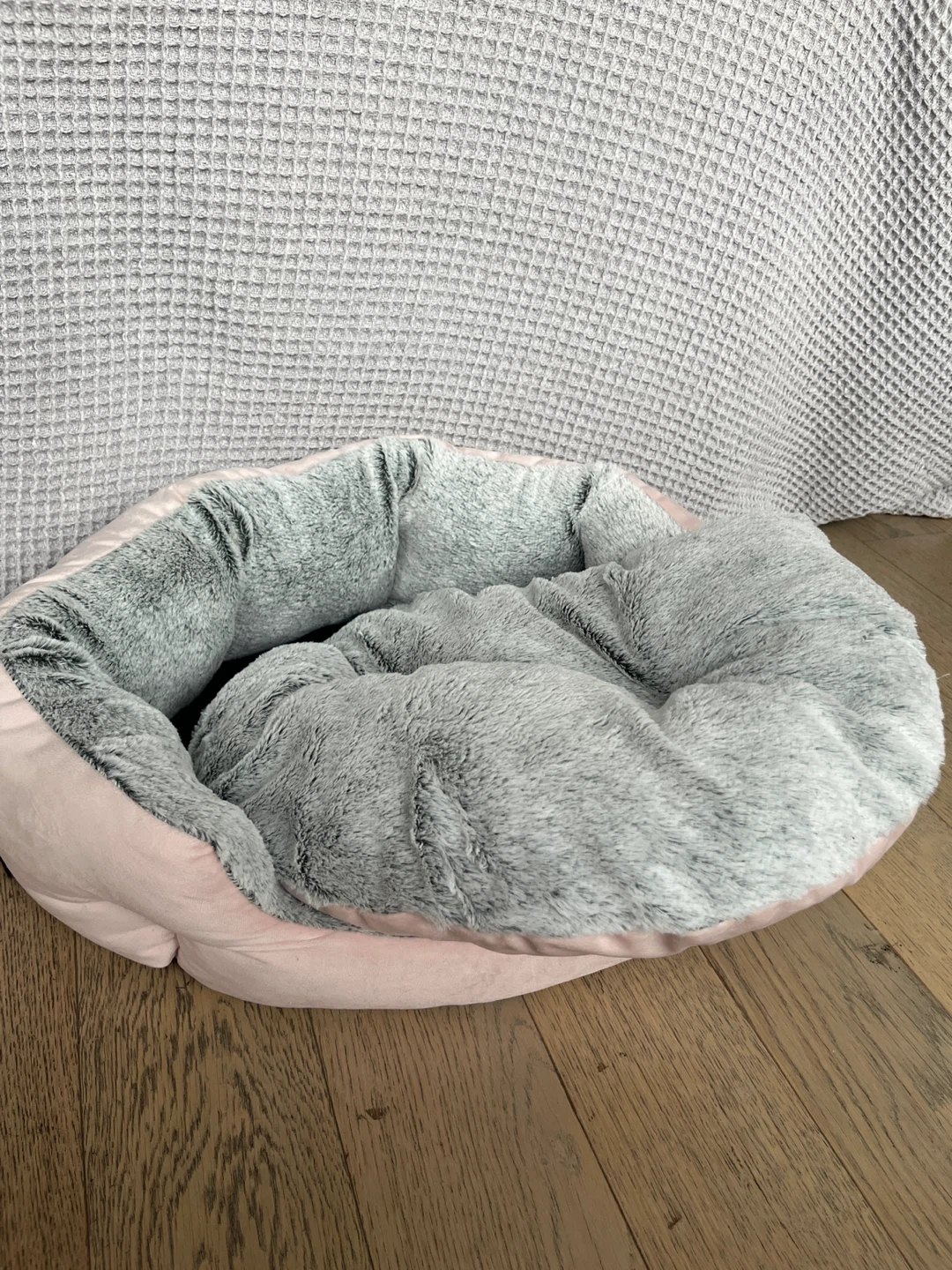 Complete Kitten Starter Kit Bundle - photo 5
