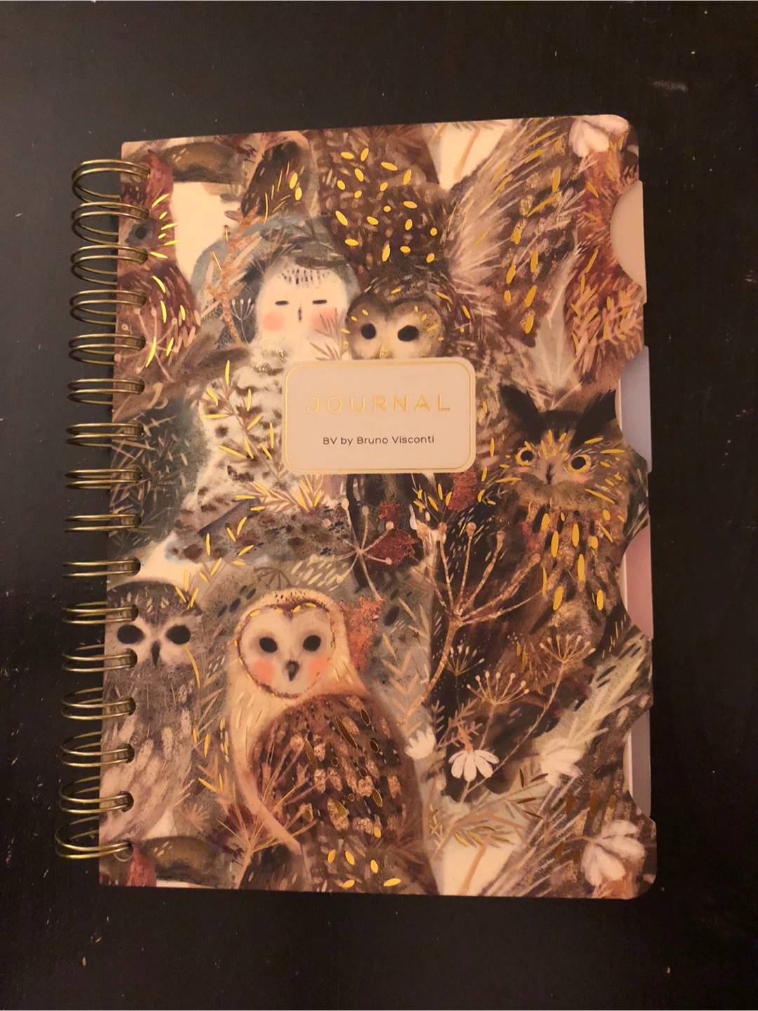 Bruno Visconti Owl Print Journal🏈