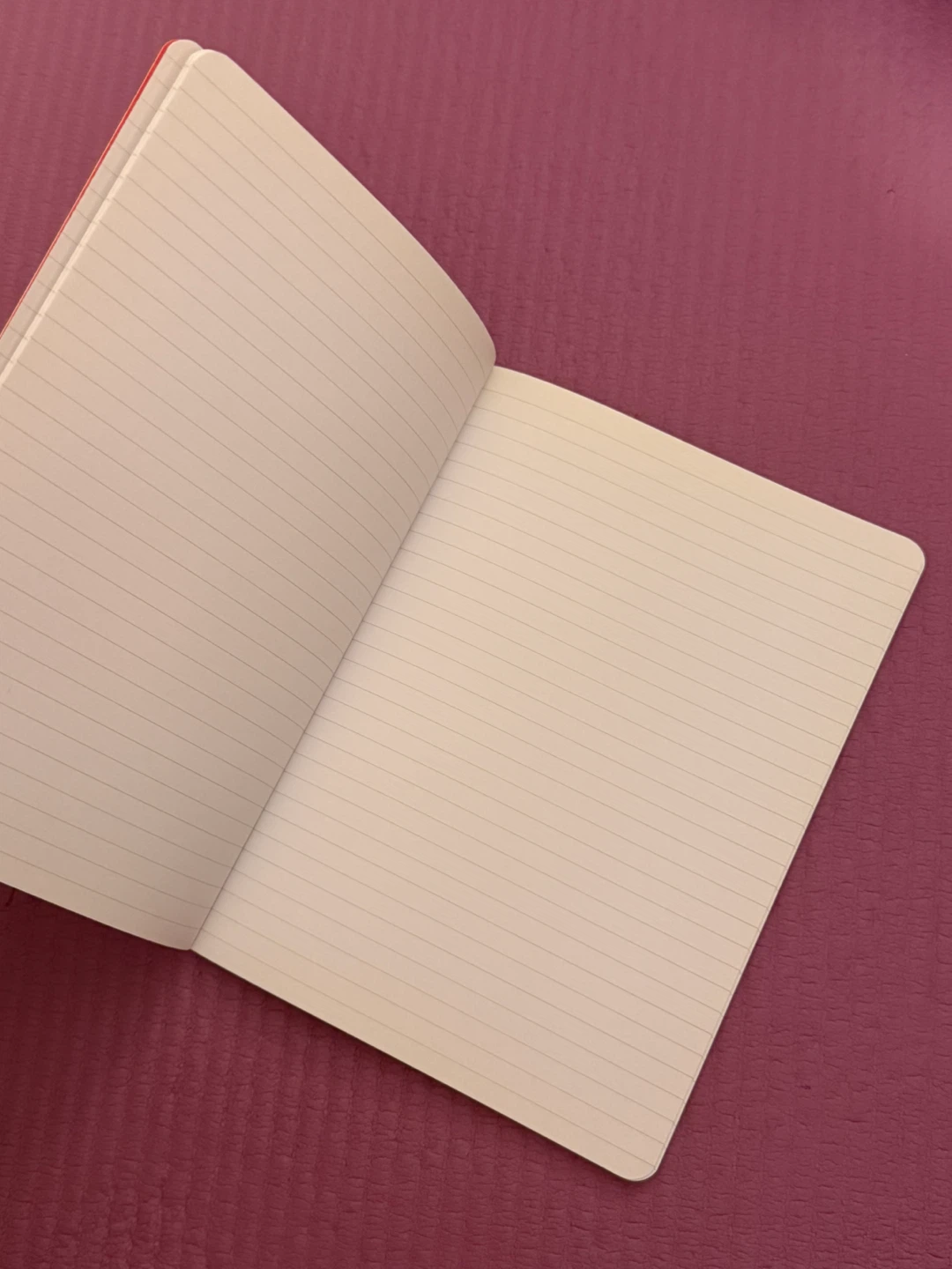 NEW✨🏈Compendium The Persistence of Yellow Lined Notebook - photo 3