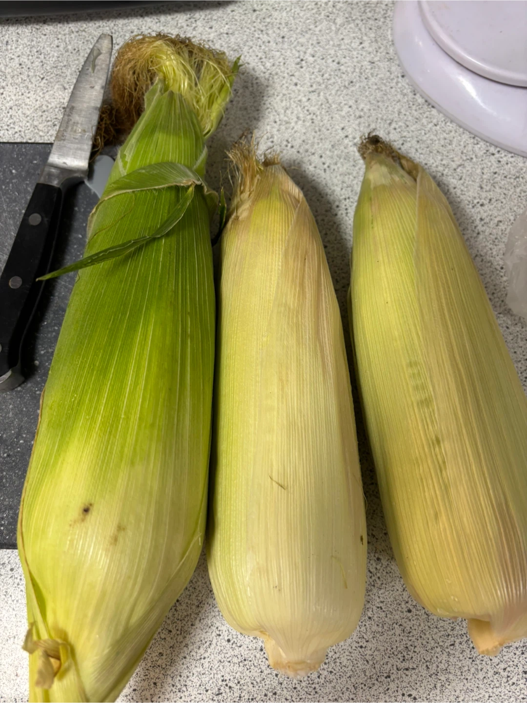 glutinous corn