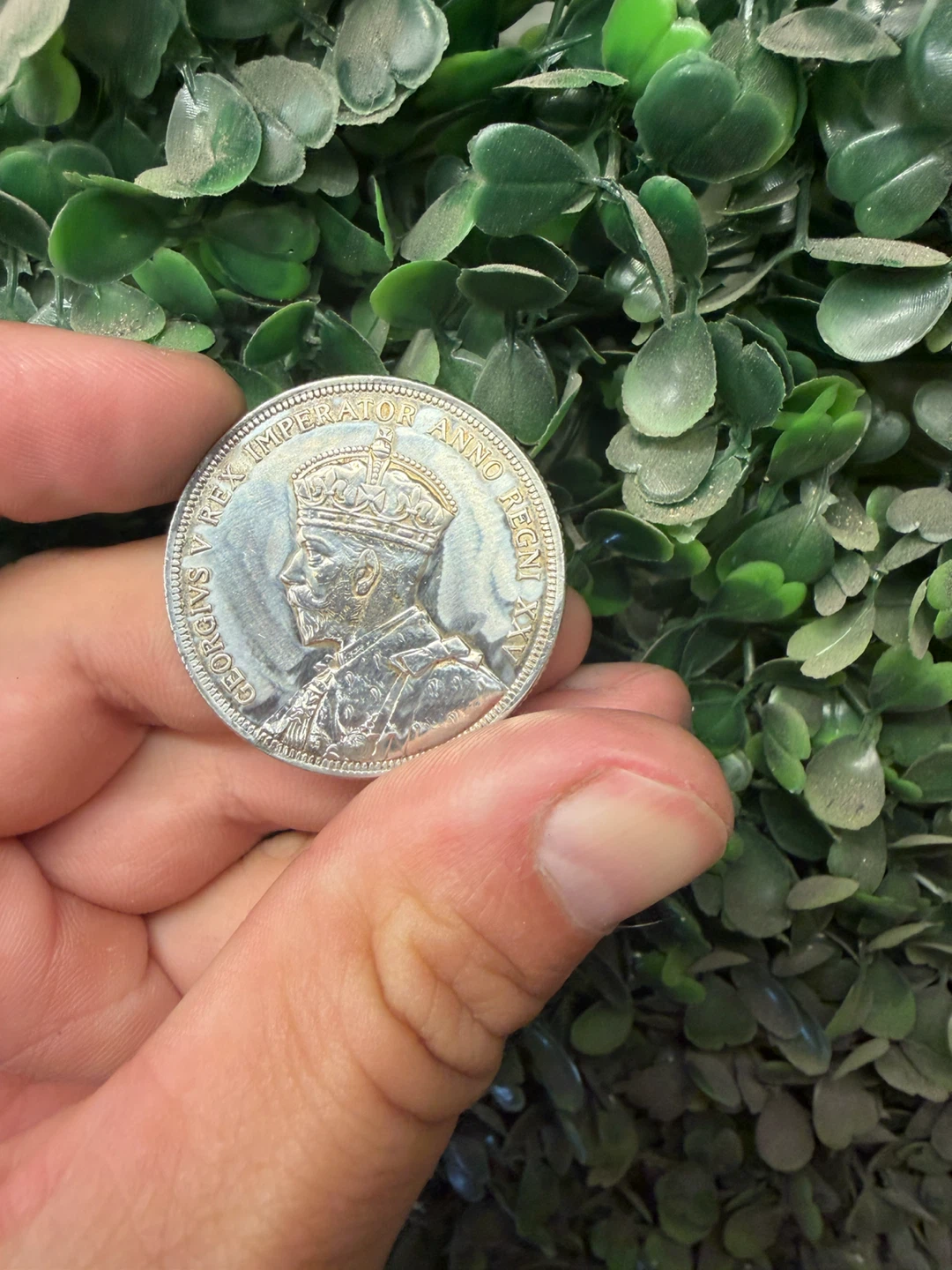 1935 Canadian Silver Dollar - photo 2