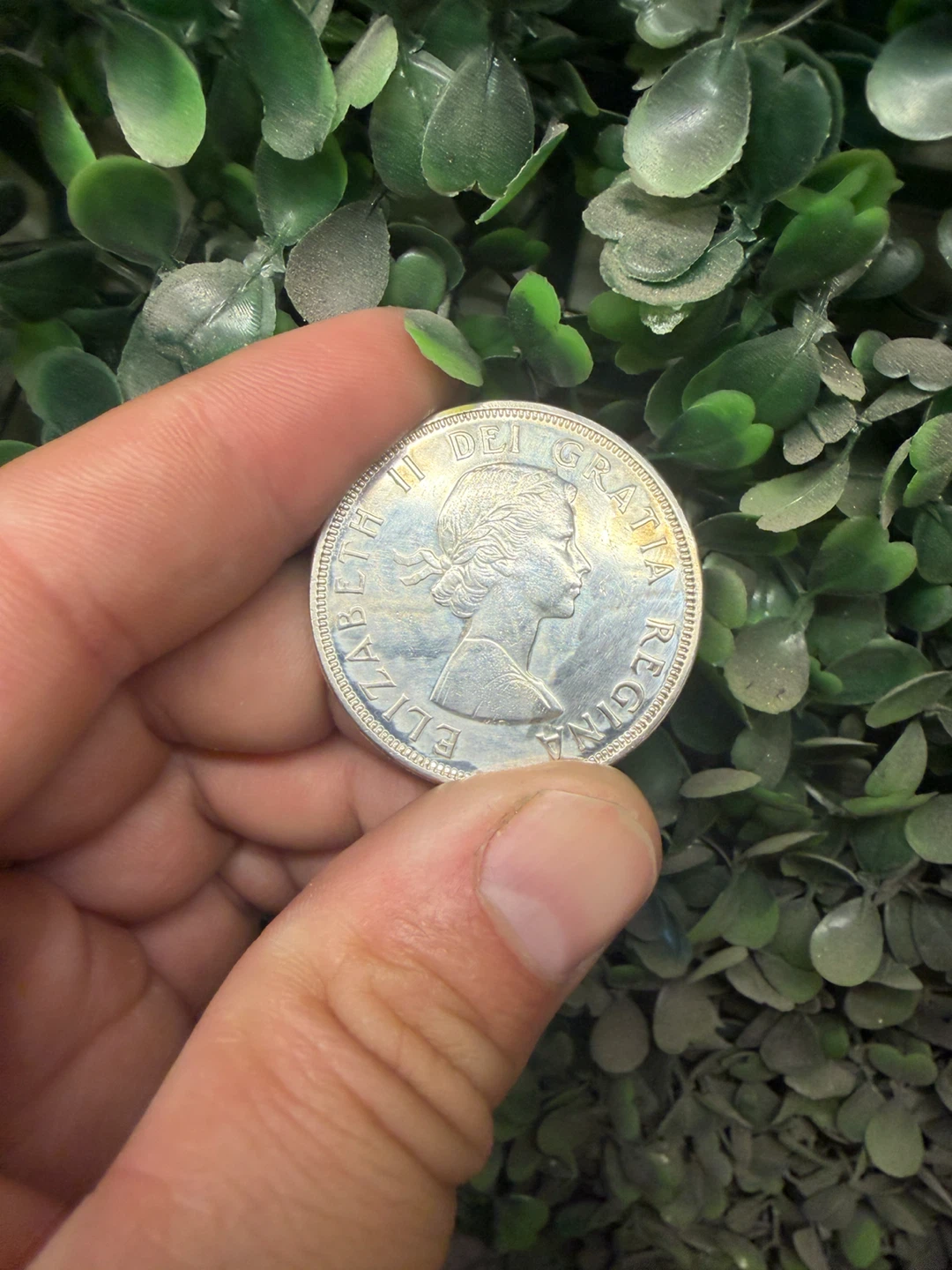 1964 Canadian Silver Dollar - photo 2