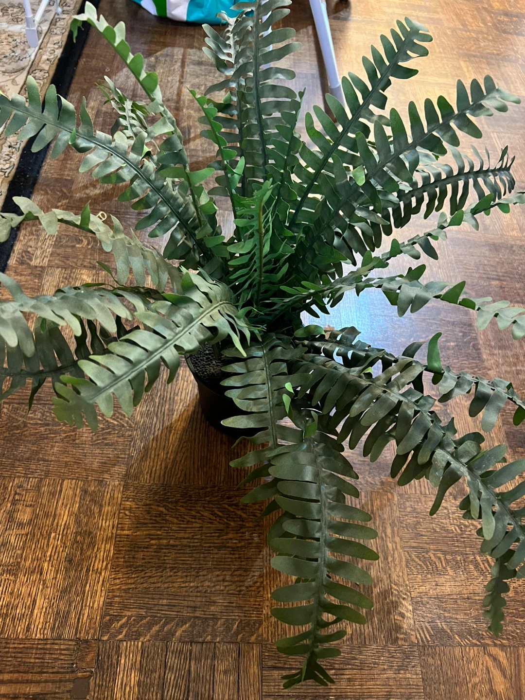 Artificial Fern Plant in Black Pot🏈