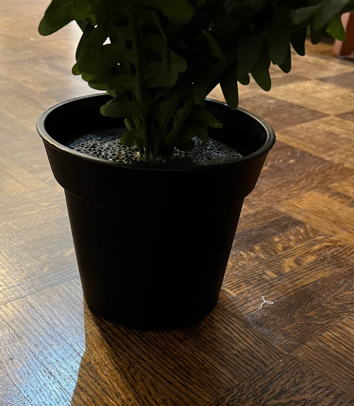 Artificial Fern Plant in Black Pot🏈 - photo 2