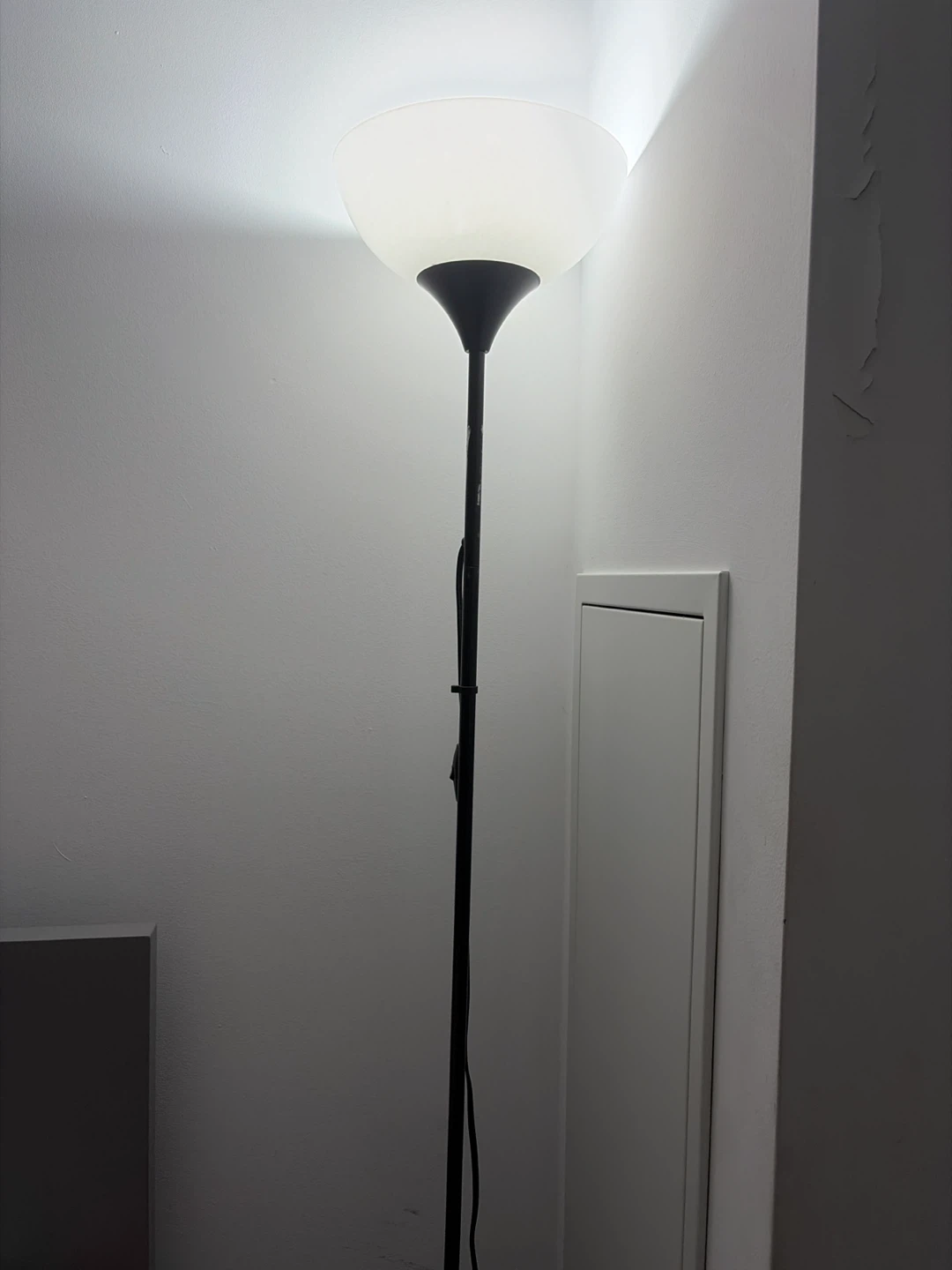 Black Floor Lamp with Glass Shade