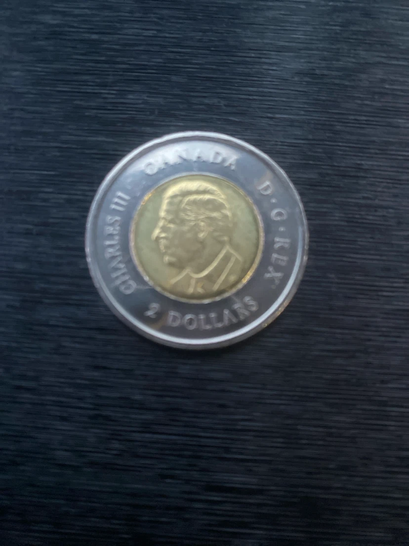 Royal Canadian Legion 100 Years Commemorative Two Dollar Coin - photo 2