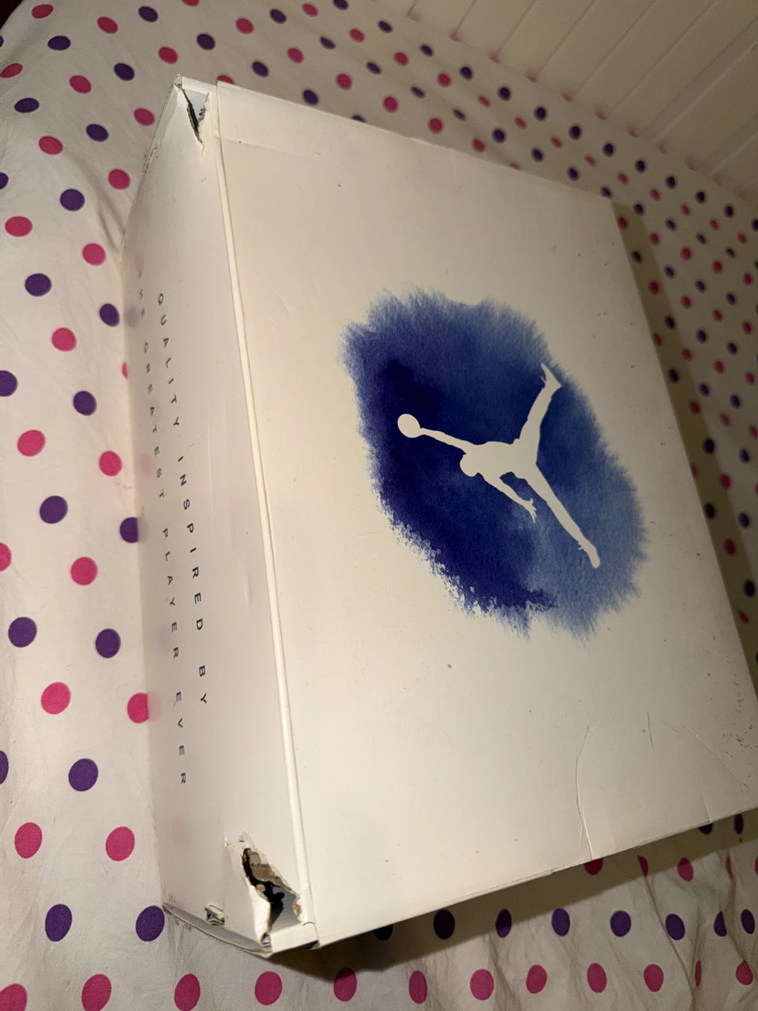 WTS Jordan 12 “Indigo” (GS) - photo 4