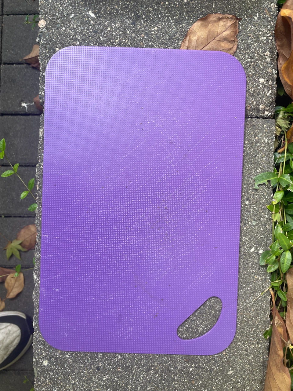 Purple Plastic Cutting Board