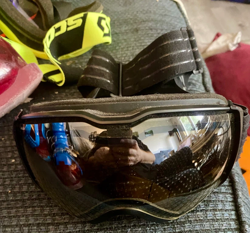 Julbo Ski Goggles