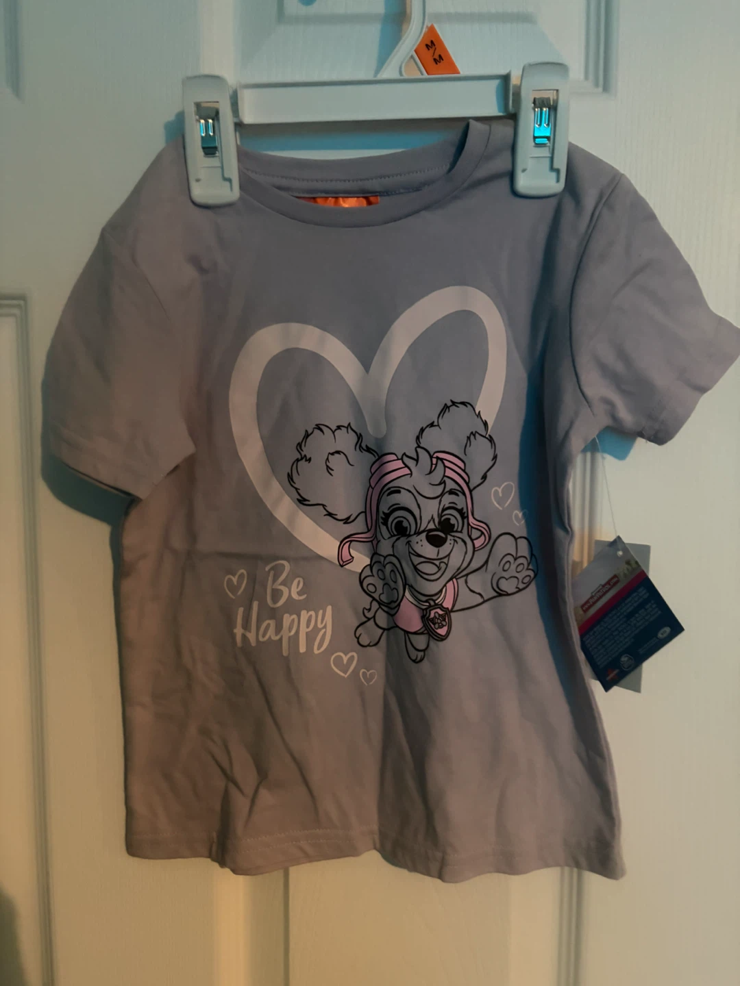 🏈 Paw Patrol Skye T-Shirt 3T
