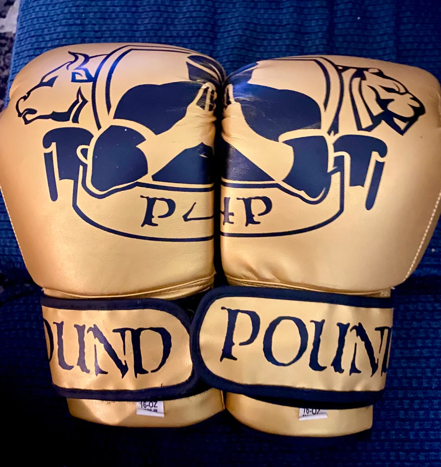 P4P Pound for Pound Boxing Gloves 16oz