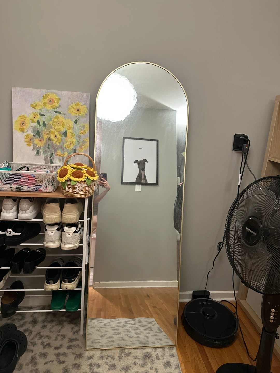 Arched Floor Mirror with Gold Frame