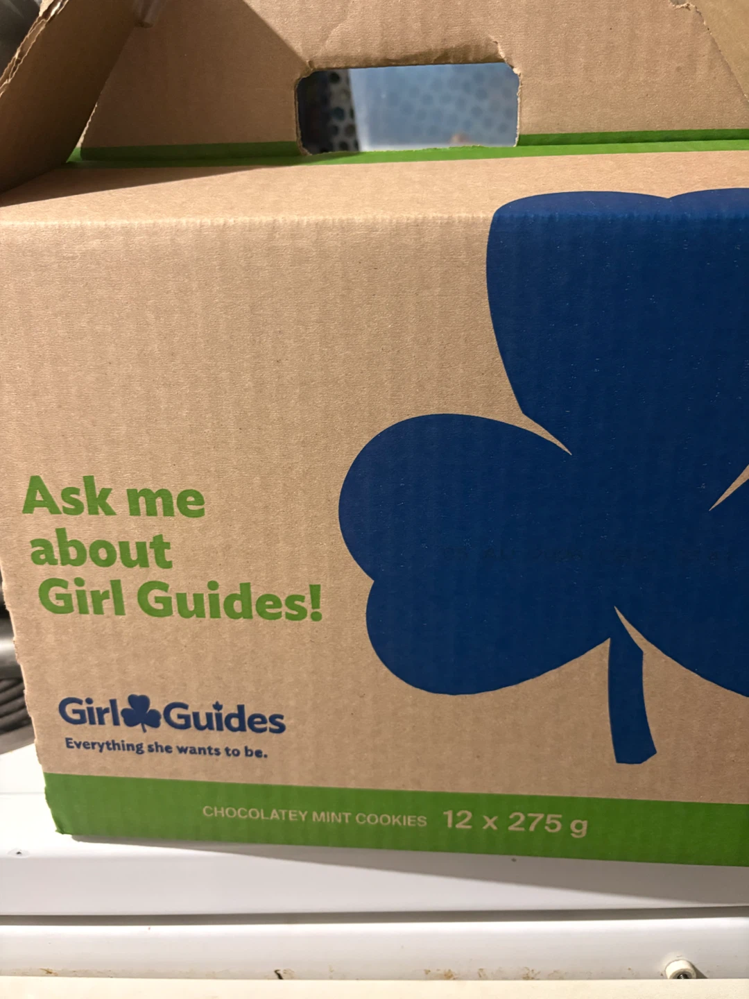Girl Guide Chocolatey Mint Cookies - photo 2