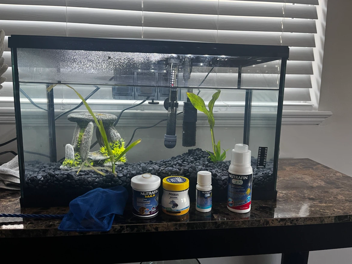 10 gallon Aquarium set