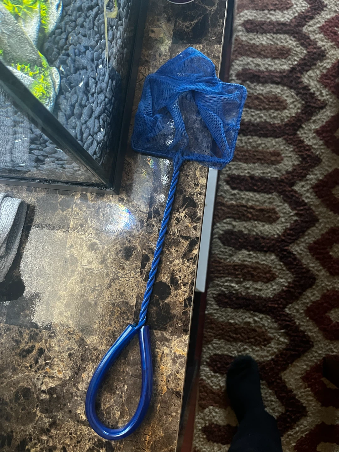 10 gallon Aquarium set - photo 3