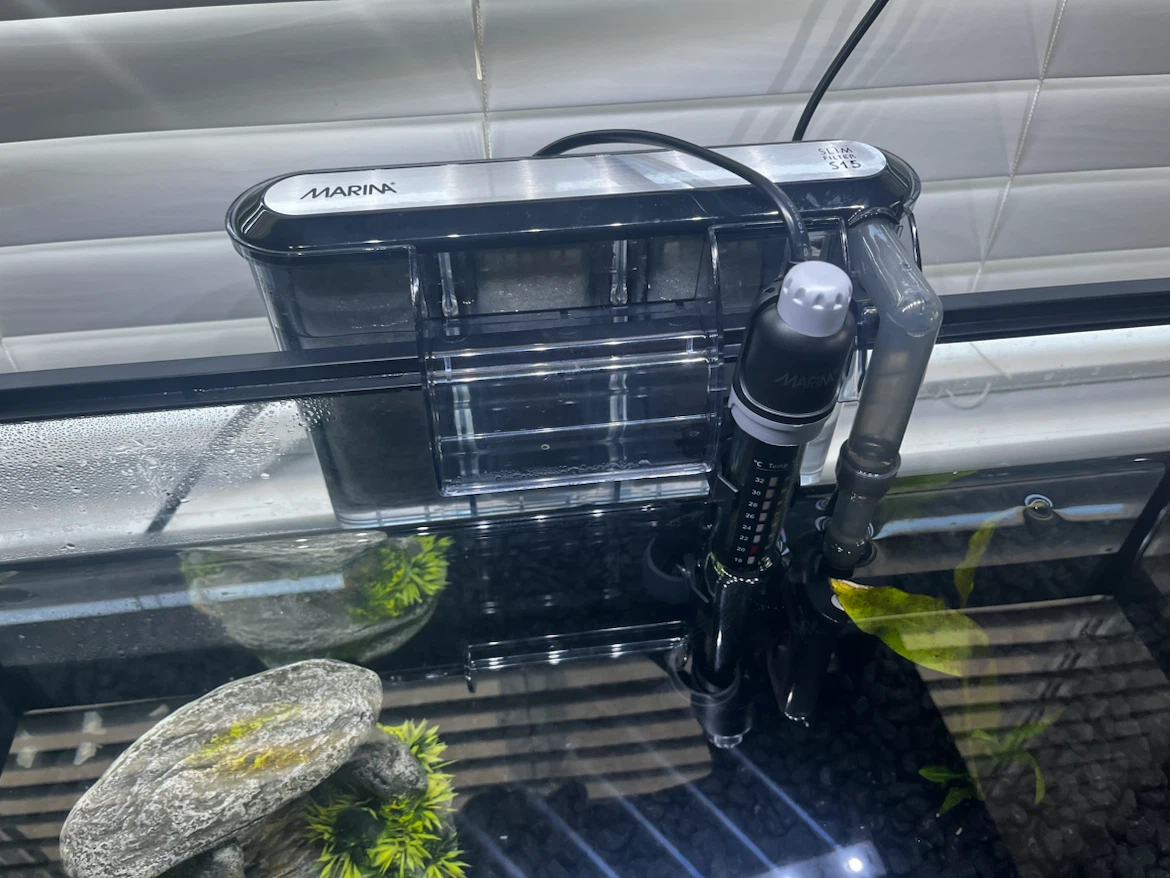 10 gallon Aquarium set - photo 5